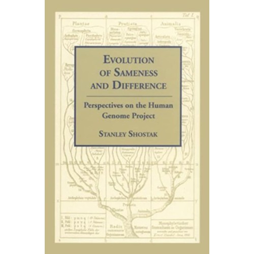Evolution Of Sameness And Difference Perspect...