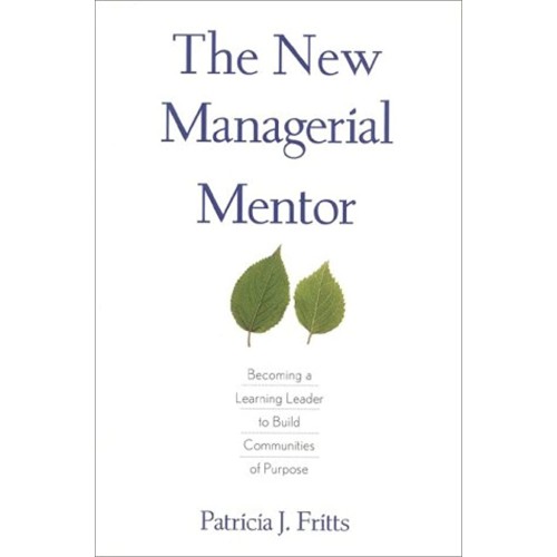 The New Managerial Mentor 