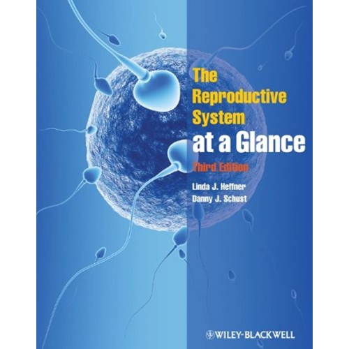 The Reproductive System At A Glance 3E 